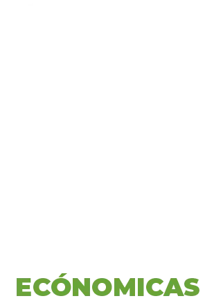 sin perdidas