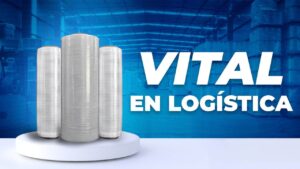 whatsapp image 2025 06 23 at 8.52.53 am