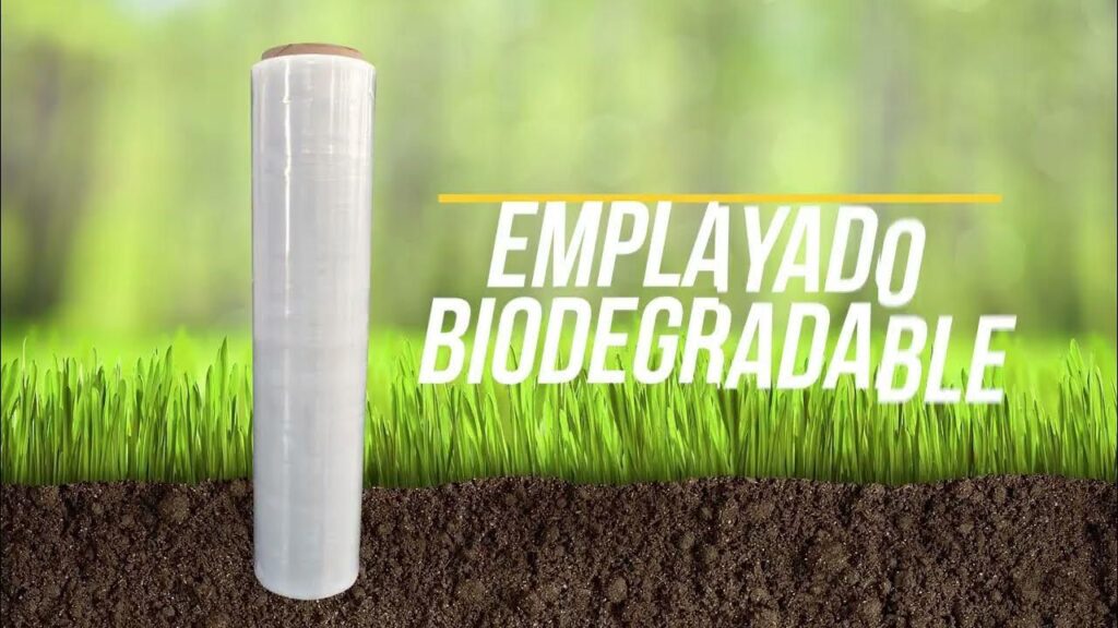 whatsapp image 2025 09 09 at 9.05.52 am (1)