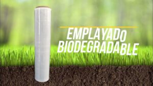 whatsapp image 2025 09 09 at 9.05.52 am (1)