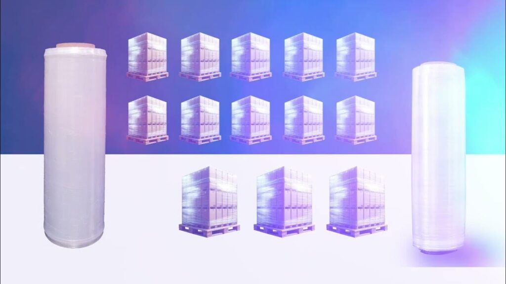 whatsapp image 2025 09 12 at 2.04.02 pm